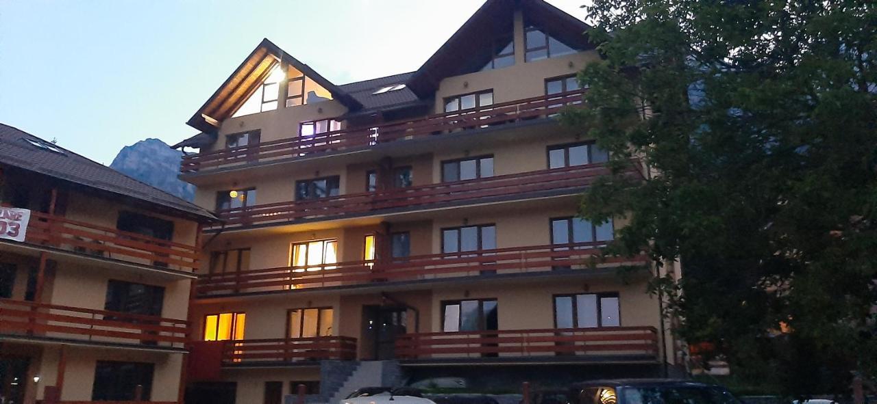 Kalinderu Skier's Bellevue Apartment Busteni