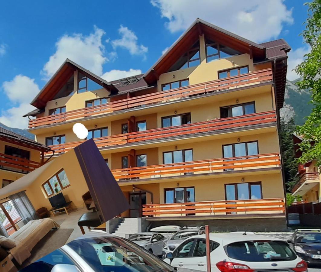 Kalinderu Skier's Bellevue Apartment *