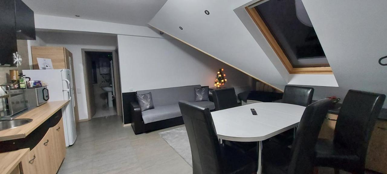 Kalinderu Skier's Bellevue Apartment